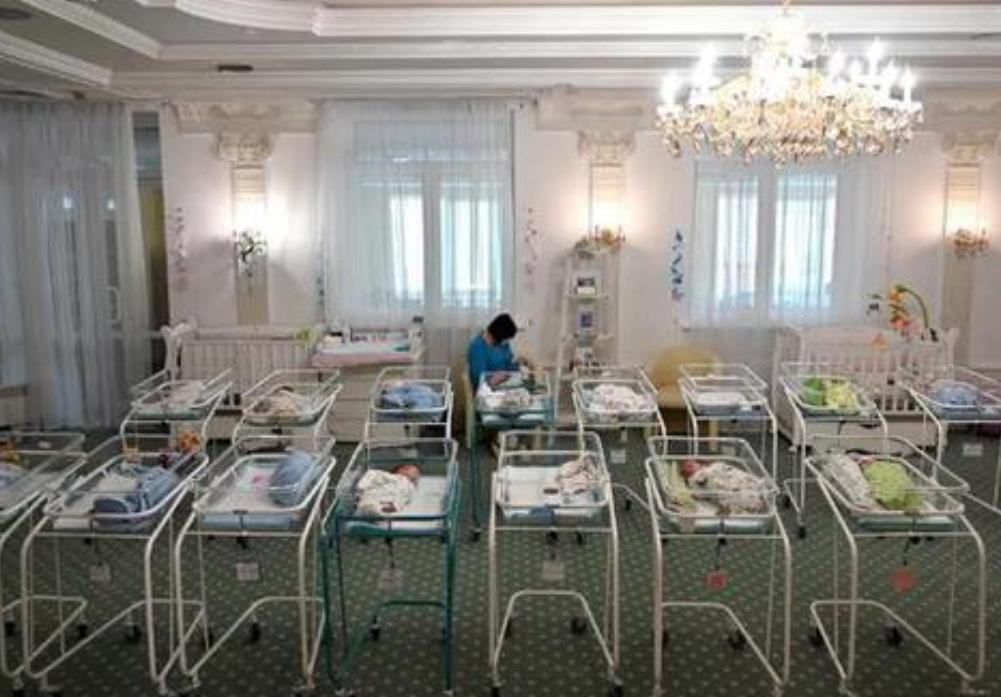 代孕法律是什么意思,代孕在中国属于违法行为吗