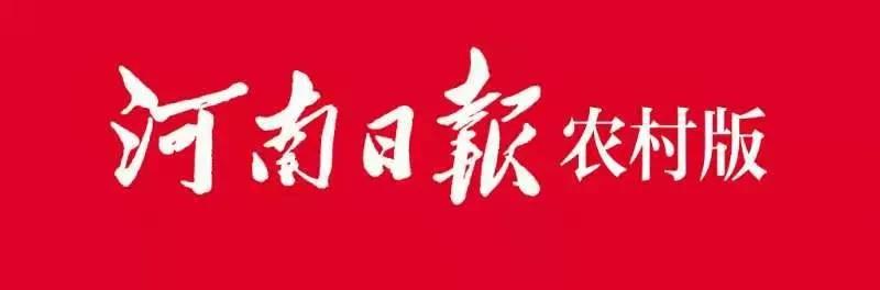 匠心创业兴*党**建——记河南康拜恩电器股份有限公司总经理、*党**支部书记江小云