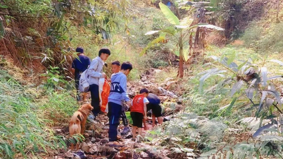 我的农村支教记录,支教学习日志