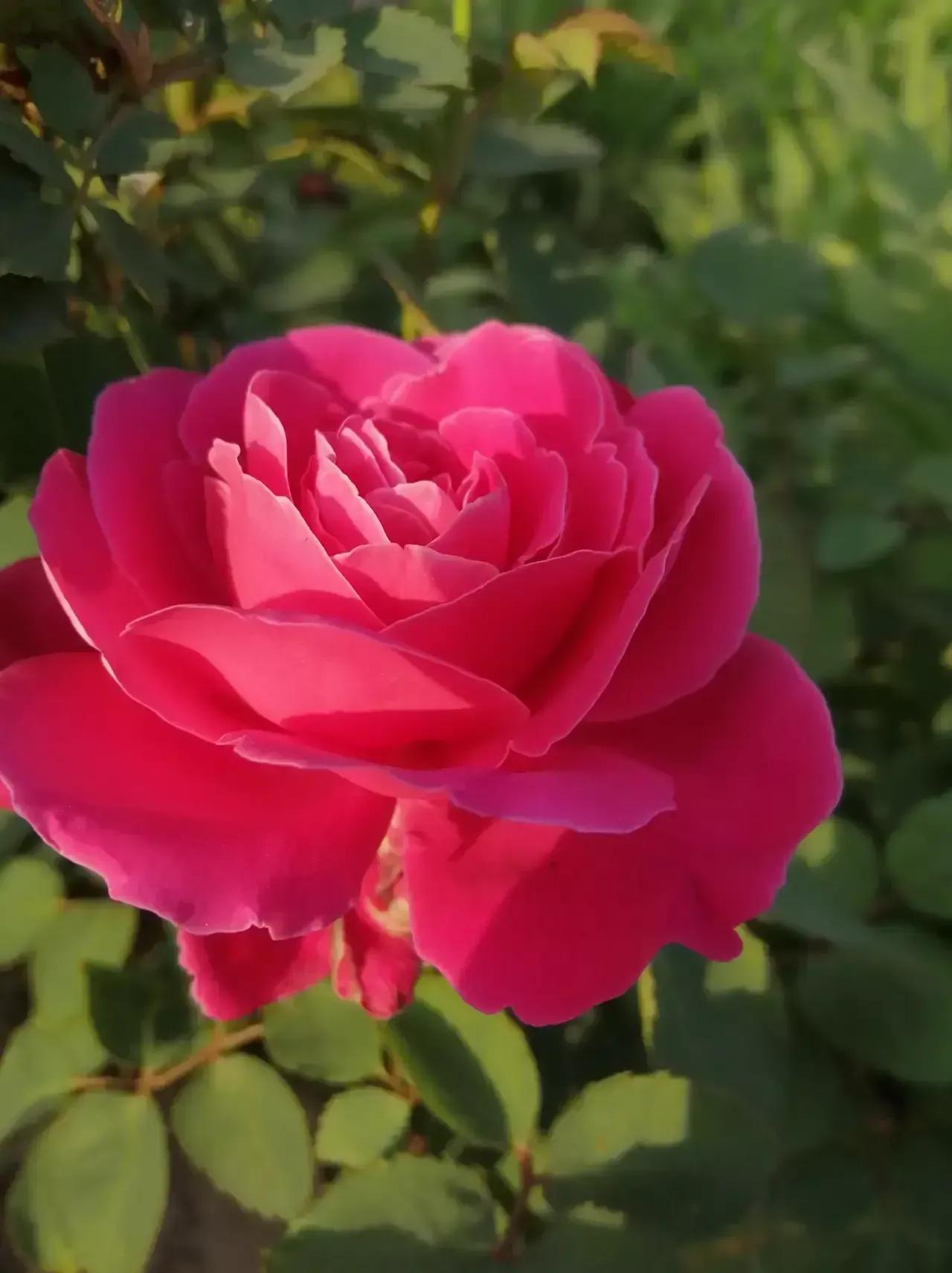 河南省中医院实力怎么样,河南省中医院医院简介