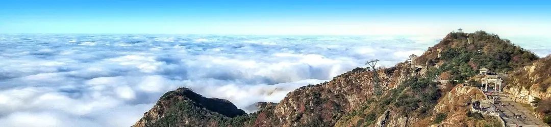 以“儒”为题、共“商”合作！市长诚邀城市合伙人，共享青岛机遇