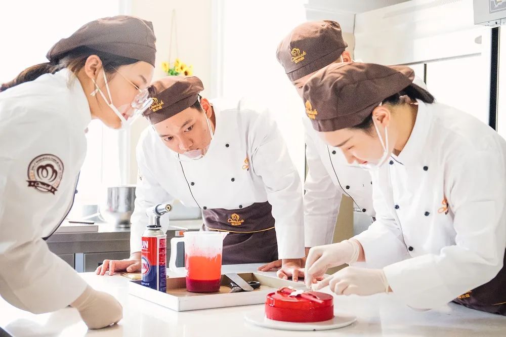 为什么不推荐去机构当老师,为什么说不能进培训班学技术