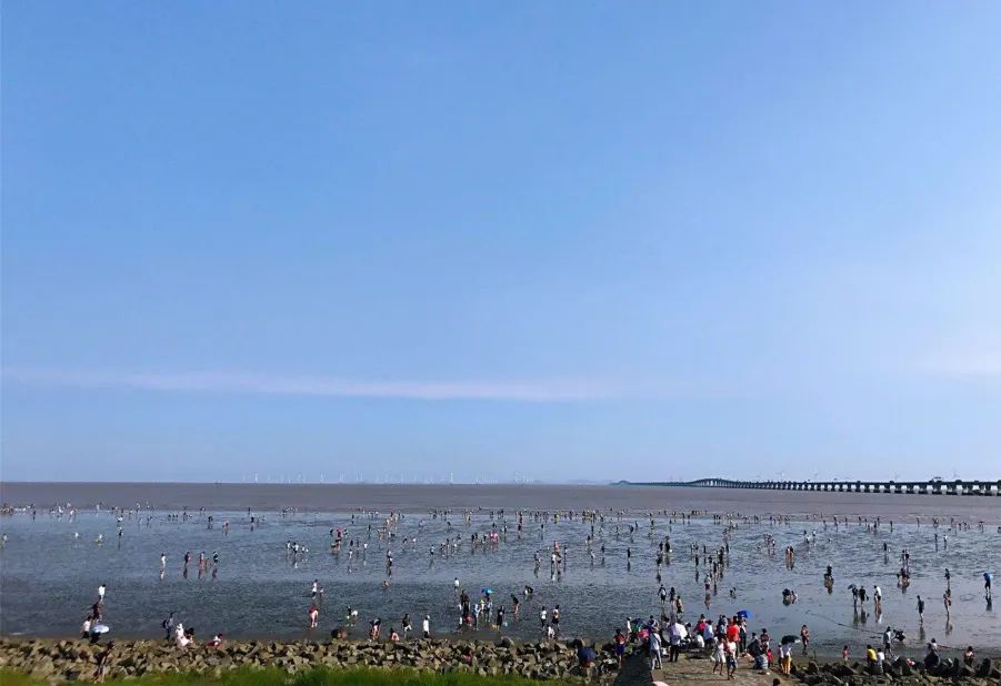 上海看海10大最美海滩浦东,上海海滩景点排名