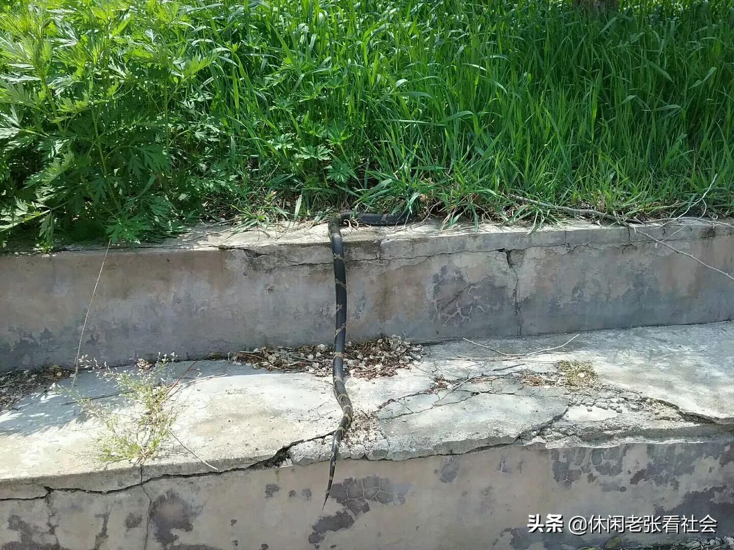 山村生活直播,山村生活的歌曲