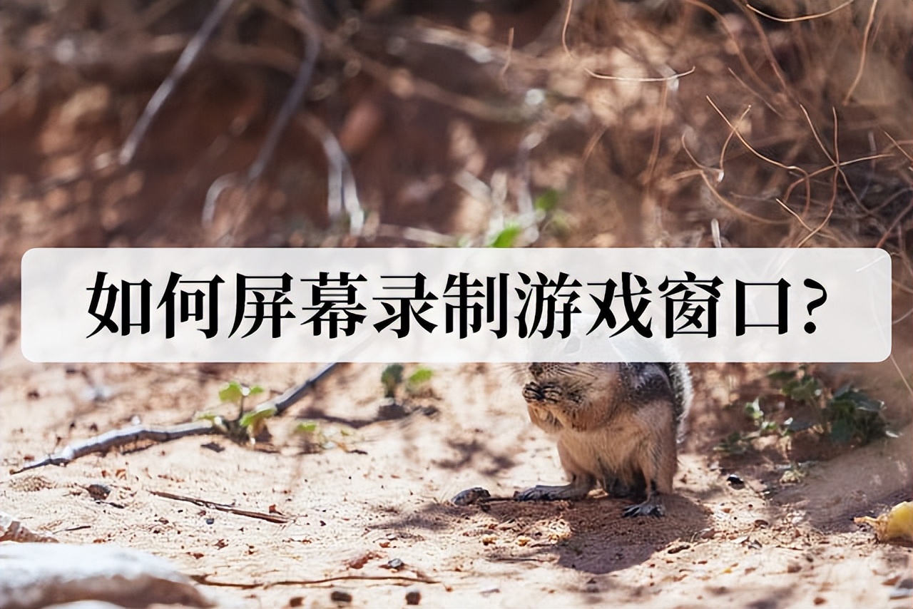 录屏软件怎么录制全屏游戏,游戏怎么屏幕录制