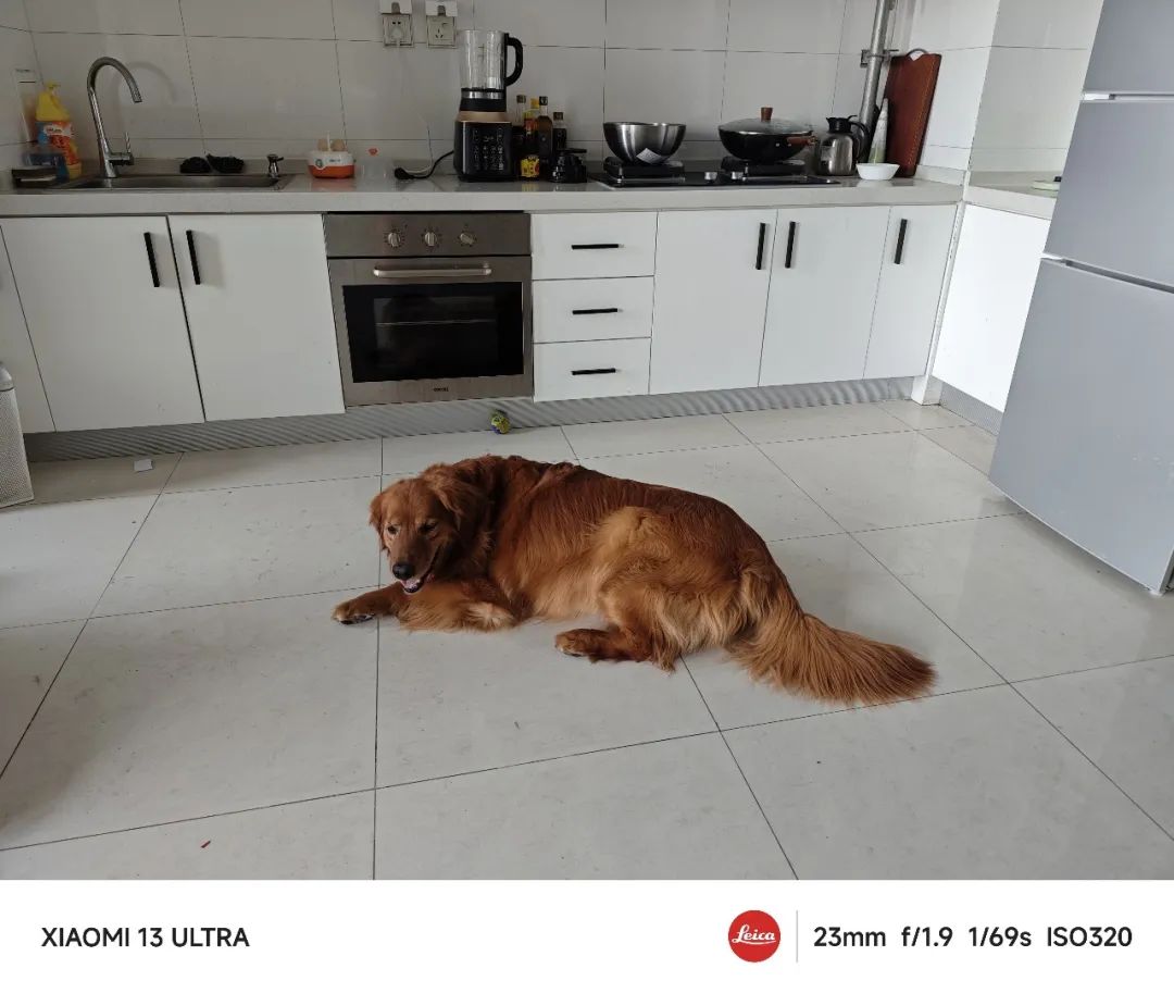 周云蓬视觉,周云蓬黑白照