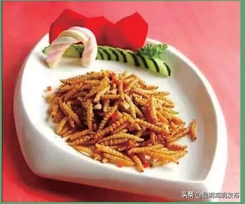 花博会云南,花博会来了