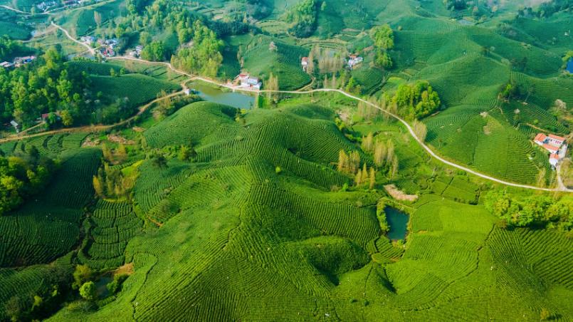 河南唯一一个属于南方的城市,河南唯一不属于北方的城市