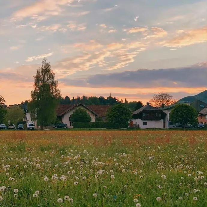 一组超可爱的背景图,背景图朋友圈一组