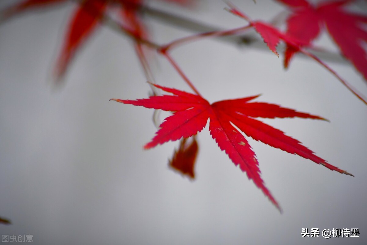 照片拍出来难看怎么修图,照片不能瞎拍