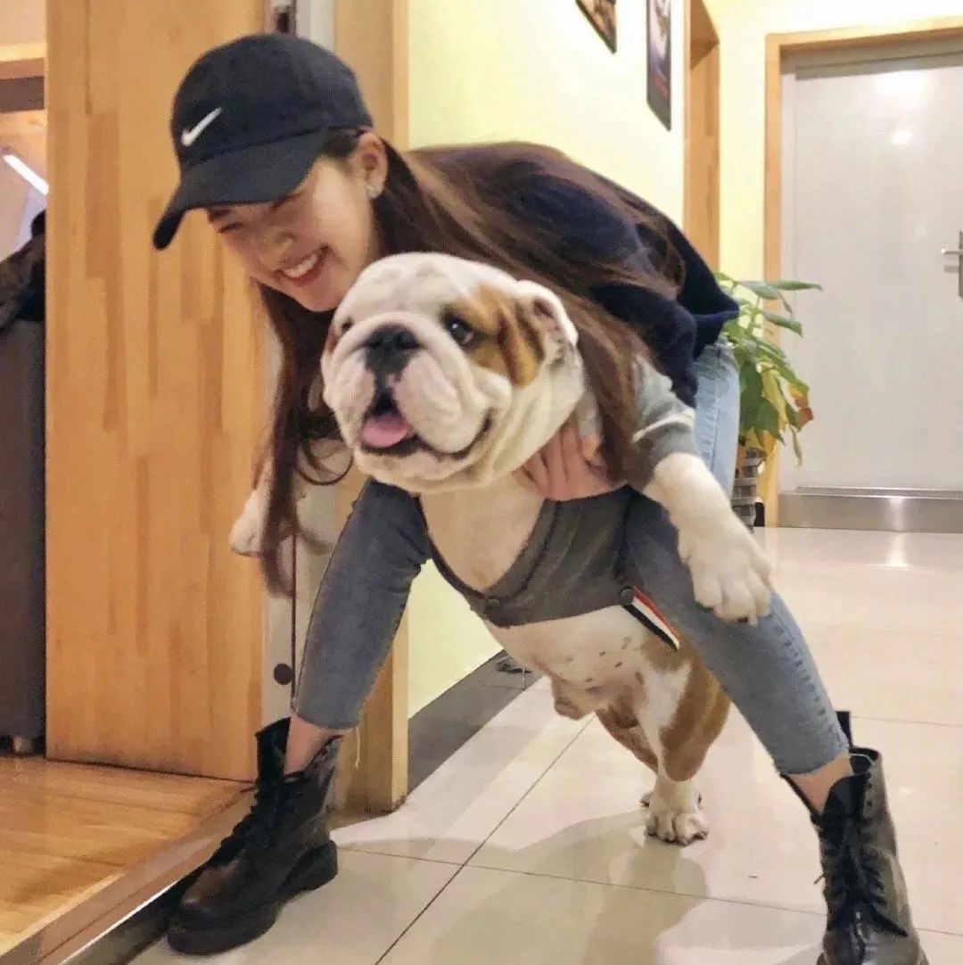 赵露思表情包头像,下载赵露思爱豆头像