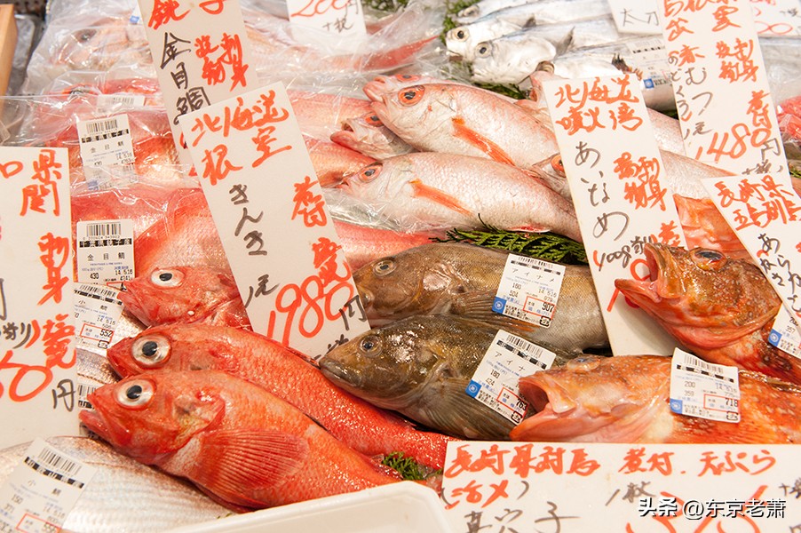 百年远东上海vs亚洲豪门东京,生活成本、衣食住行大对比