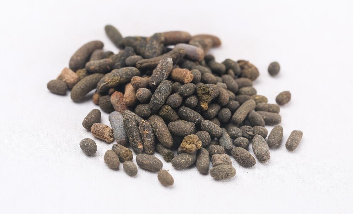 输卵管淤堵中医,少腹逐瘀治疗输卵管堵塞