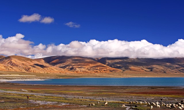 有分享意思的成语,毫无保留的分享的成语