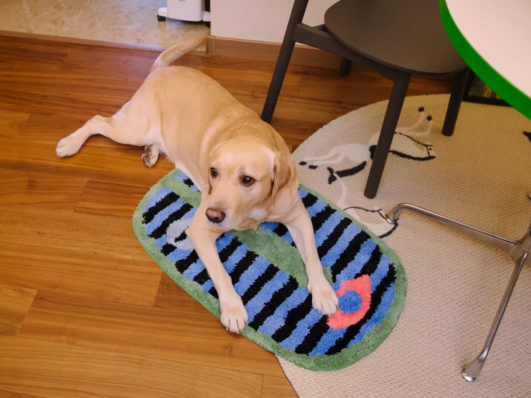 花3万元改造房子,情侣120平出租屋改造