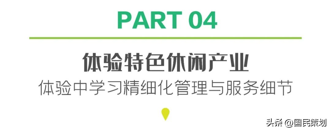 泰国清迈有什么好项目,泰国清迈旅行项目