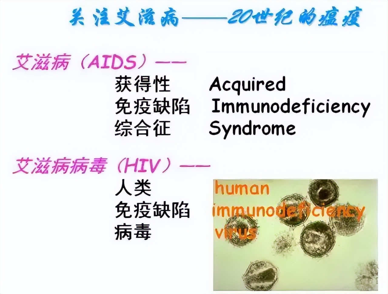 高中生物免疫失调知识点讲解视频,高中生物免疫调节