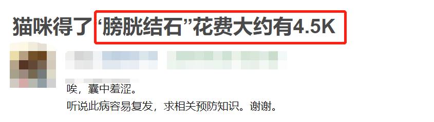 猫咪骗水喝的办法,猫咪骗水神器视频大全