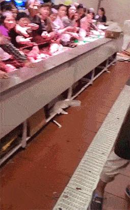 网恋奔现，这不叫“翻车”，应该叫“坠机”！哈哈哈