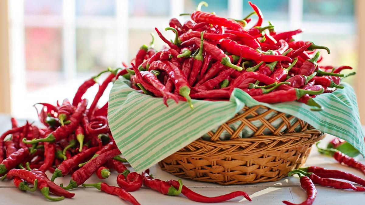 阳后体虚吃什么,阳后身体虚吃什么药