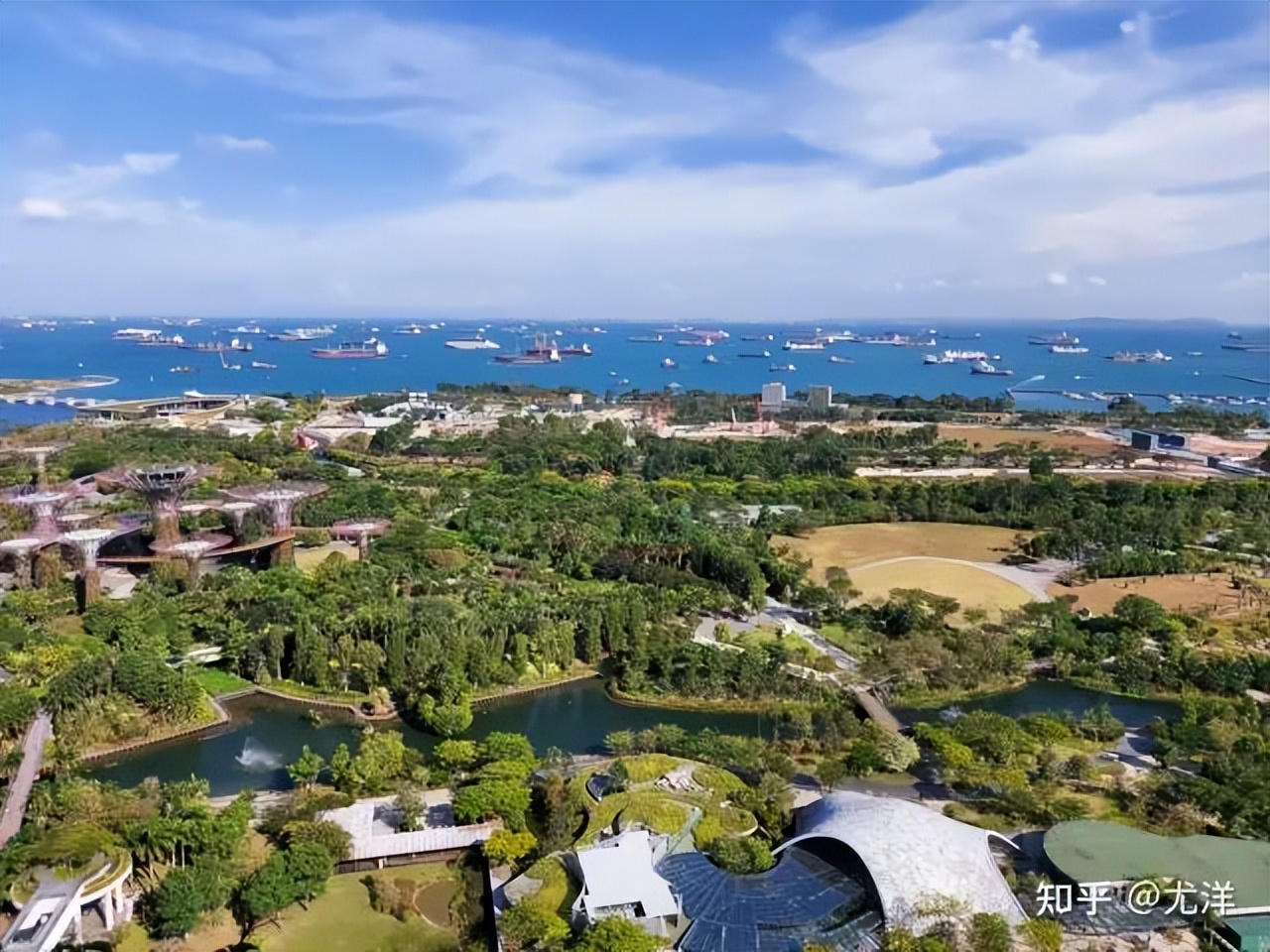 新加坡躺赢,躺赢新加坡