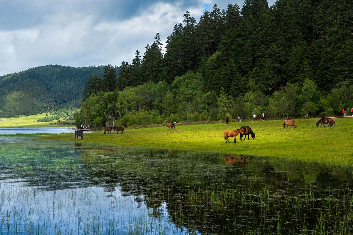 香格里拉最值得去的景点排名,香格里拉旅游必去的十大景点