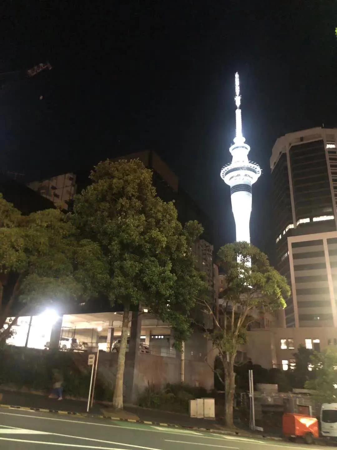 奥克兰自驾新西兰,新西兰奥克兰自驾风景