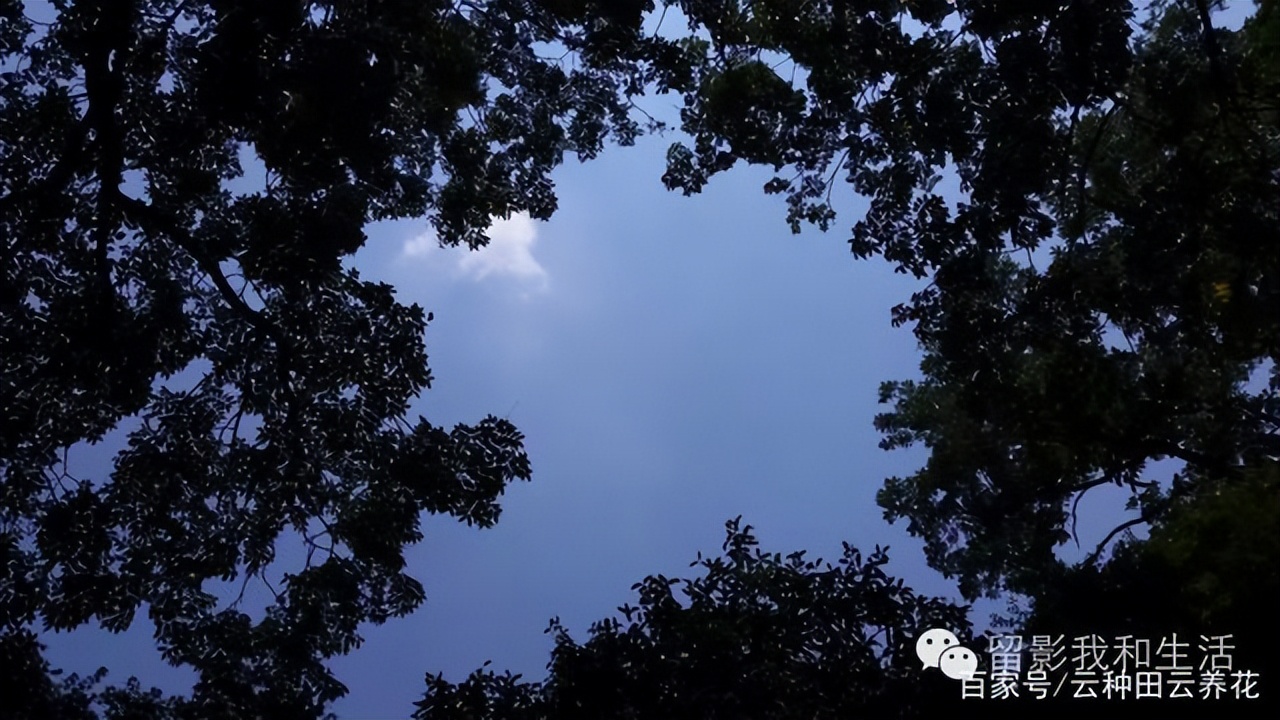 2017杭州中国行,2013年杭州行