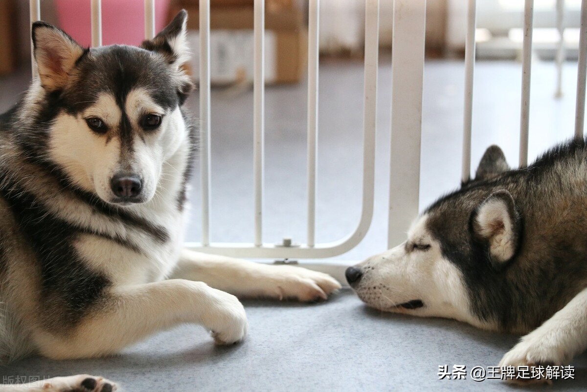 曼城0-1纽卡瓜迪奥拉赛后采访,曼城3比2逆转纽卡瓜迪奥拉采访