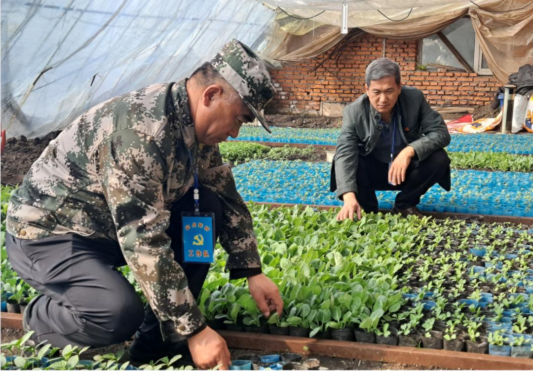 黑龙江北安：备耕一线*党**旗红*党**建引领助春耕