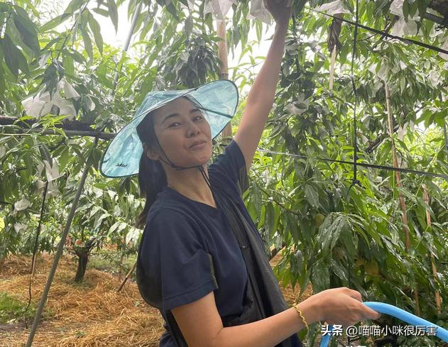 <html>
<head><title>502BadGateway</title></head>
<body>
<center><h1>502BadGateway</h1></center>
<hr><center>nginx</center>
</body>
</html>
<!--apaddingtodisableMSIEandChromefriendlyerrorpage-->
<!--apaddingtodisableMSIEandChromefriendlyerrorpage-->
<!--apaddingtodisableMSIEandChromefriendlyerrorpage-->
<!--apaddingtodisableMSIEandChromefriendlyerrorpage-->
<!--apaddingtodisableMSIEandChromefriendlyerrorpage-->
<!--apaddingtodisableMSIEandChromefriendlyerrorpage-->
