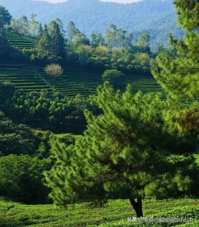 广东旅游攻略自由行十大景点,广东境内旅游景点自由行大全