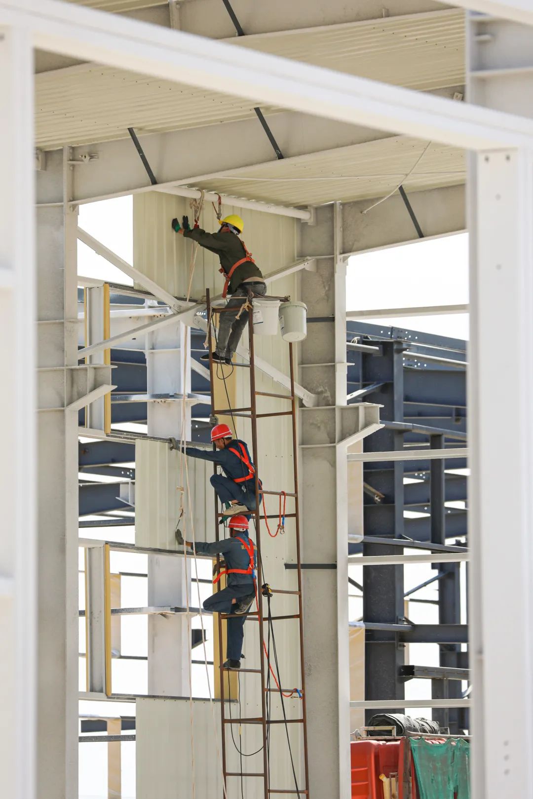 高质量推进农业增效,头屯河区高质量发展