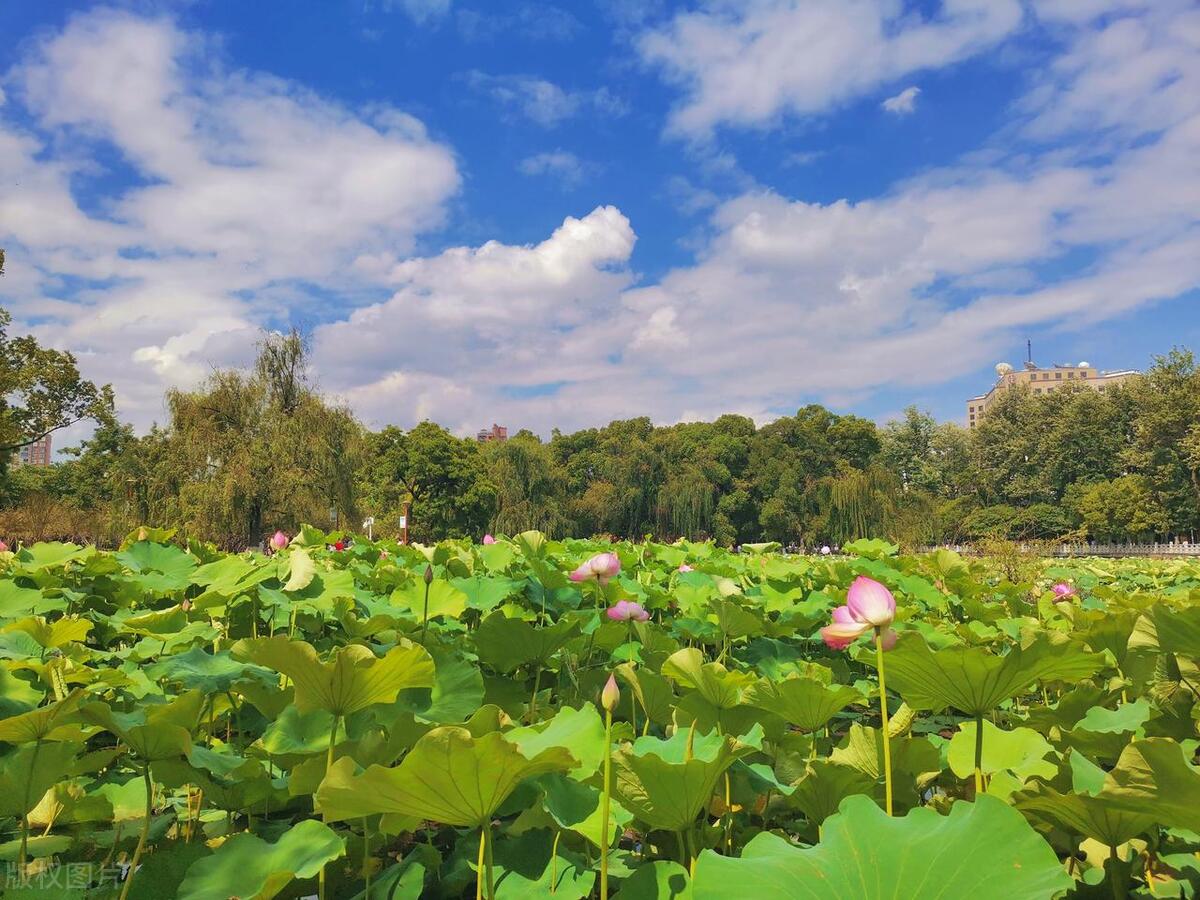 好书推荐《私密》：我供我哥上大学，他却抢了我的女人