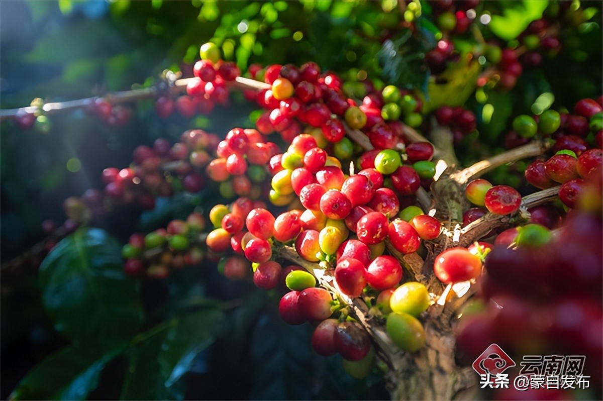 跟着音乐游云南,跟着民歌游云南