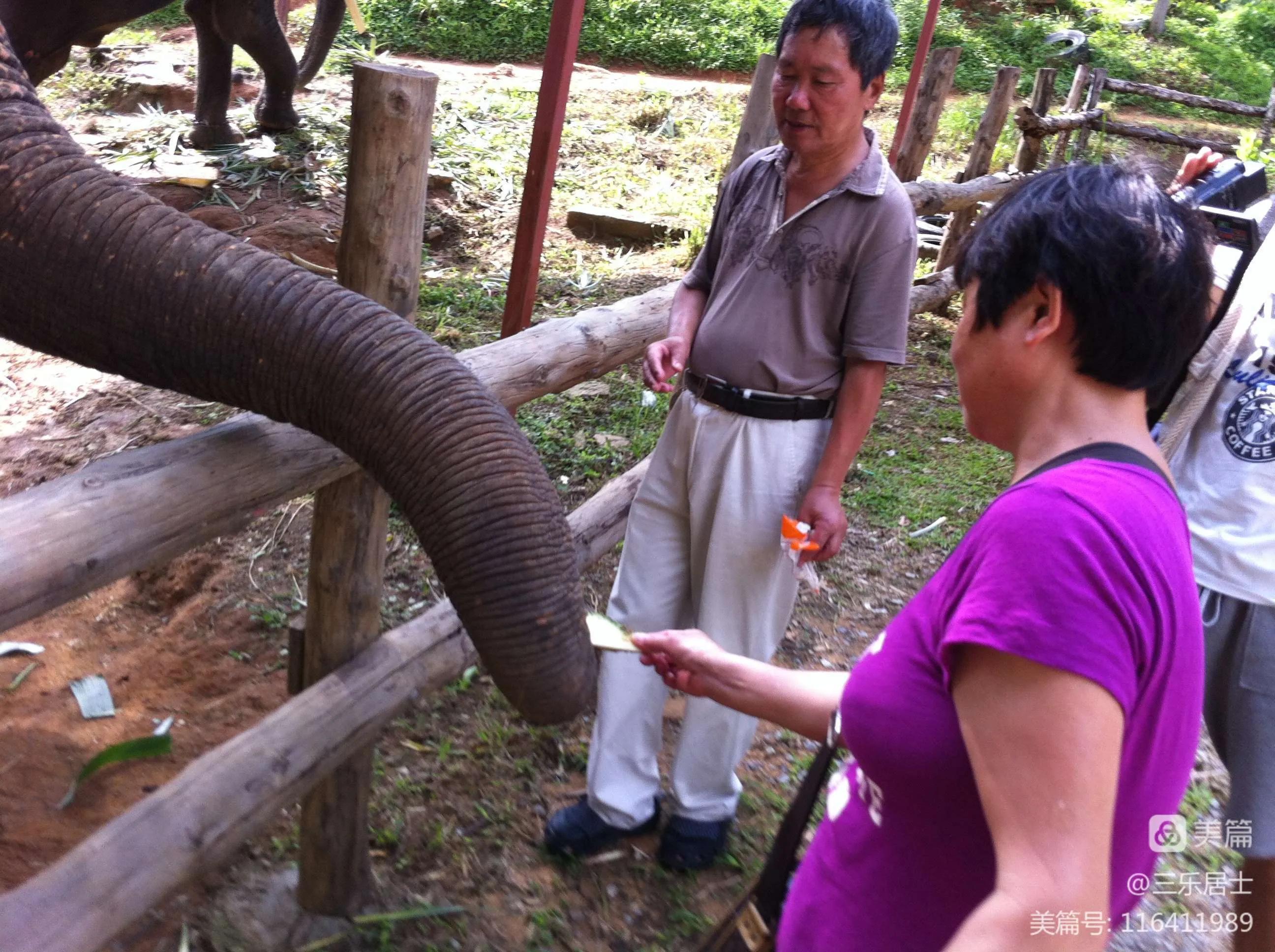普吉岛到曼谷怎么玩,泰国普吉岛曼谷游记