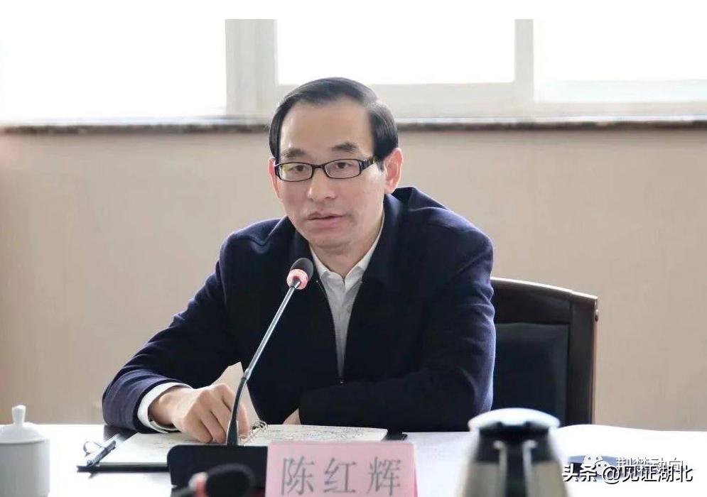 武汉市委组织部陈红辉,湖北省干部任前公示陈红辉