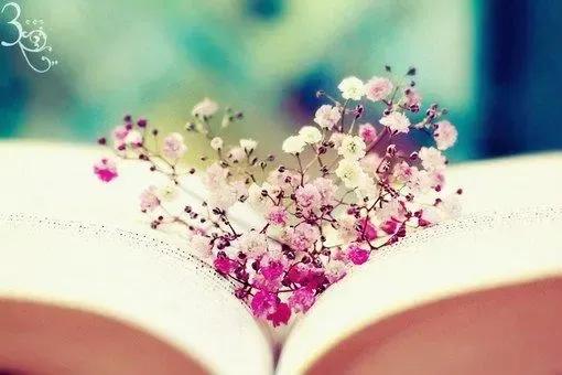 爱情自私语录经典短句,爱情经典社会语录短句