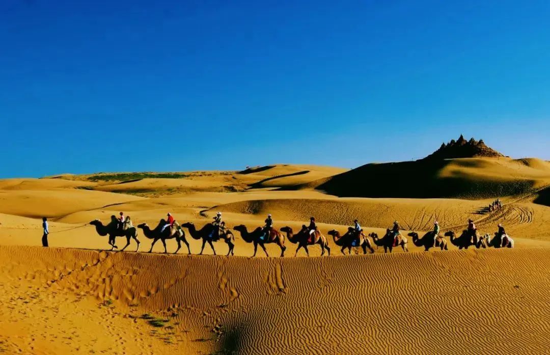 向北向北！|“美”在内蒙古