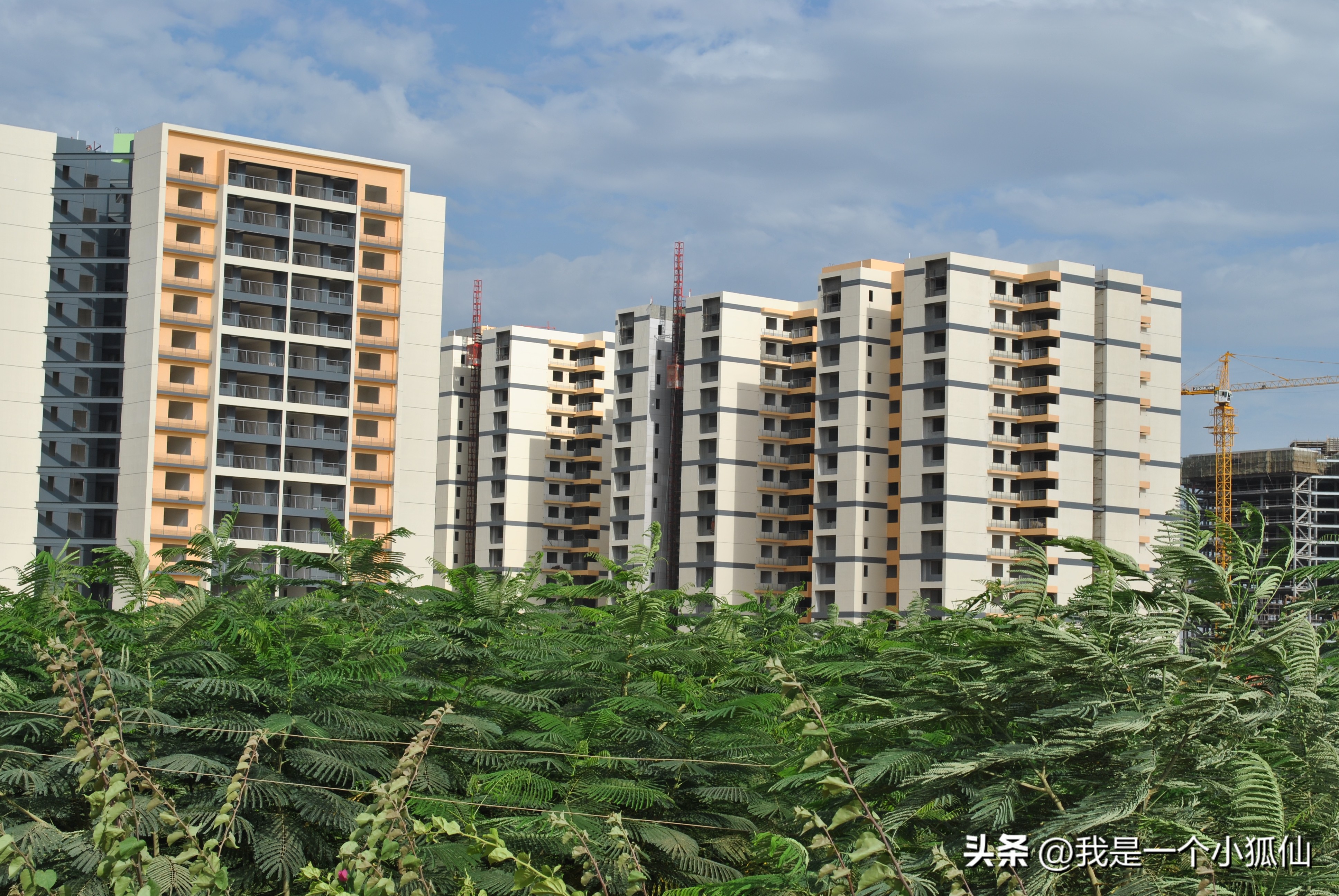 那个叫“*飞机打**”的黑人,又一次带人持枪抢了我们,并且打伤了人