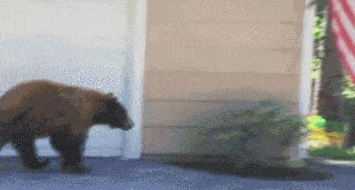 染了头发颜色不喜欢怎么办,染头发颜色不喜欢怎么办