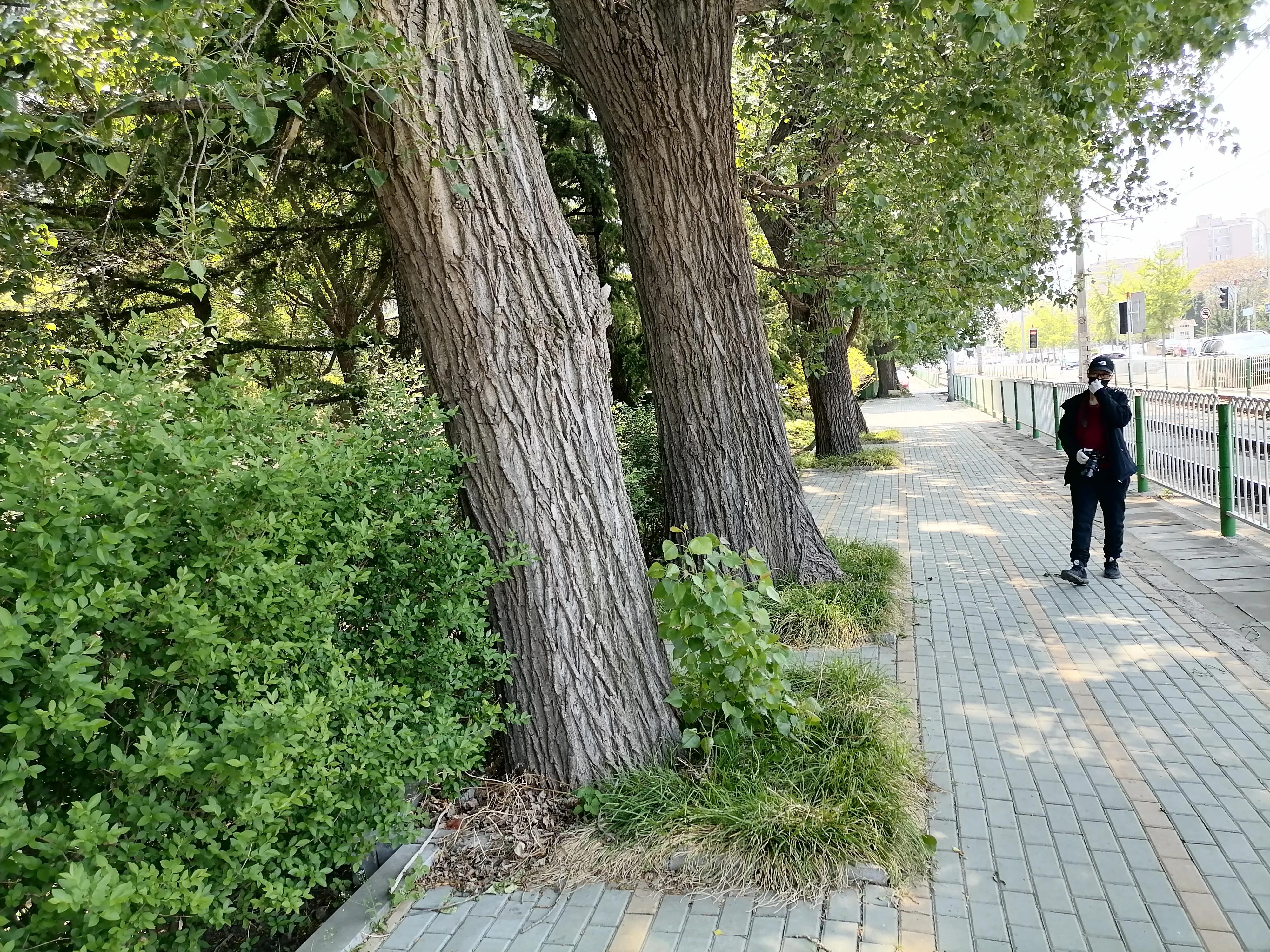 到大连星海广场应该玩点什么,大连兴工街到甘井子万达坐什么车