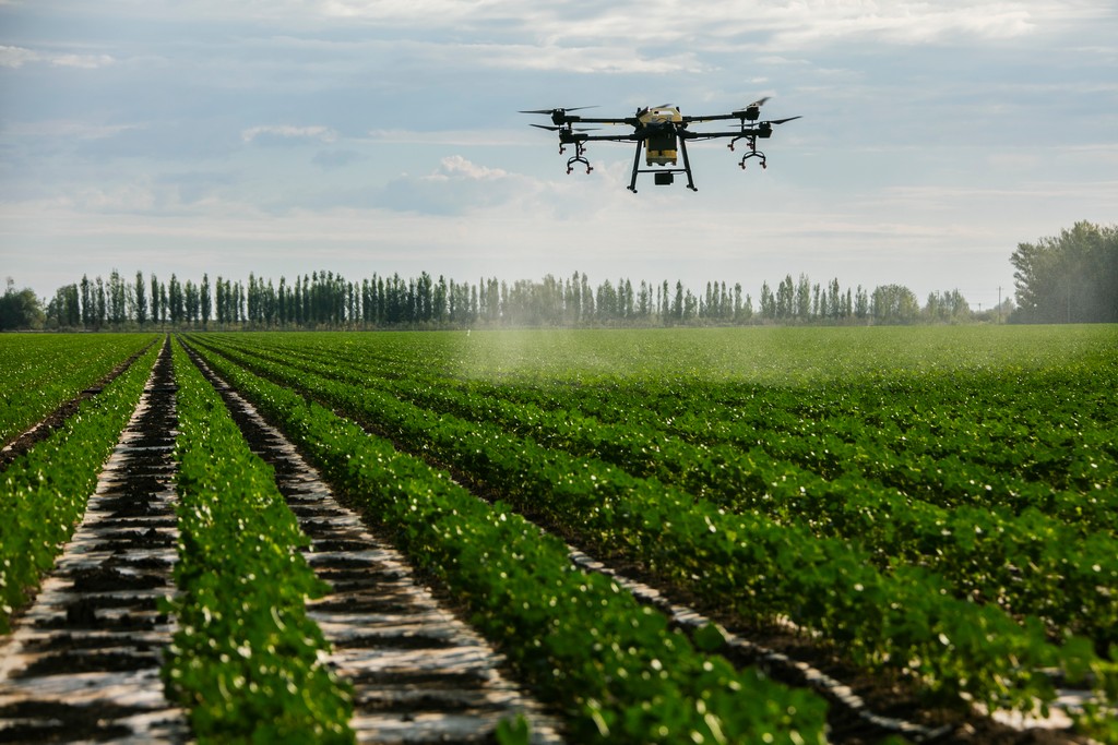 农村土地荒废无人种如何解决,农村废弃的荒宅