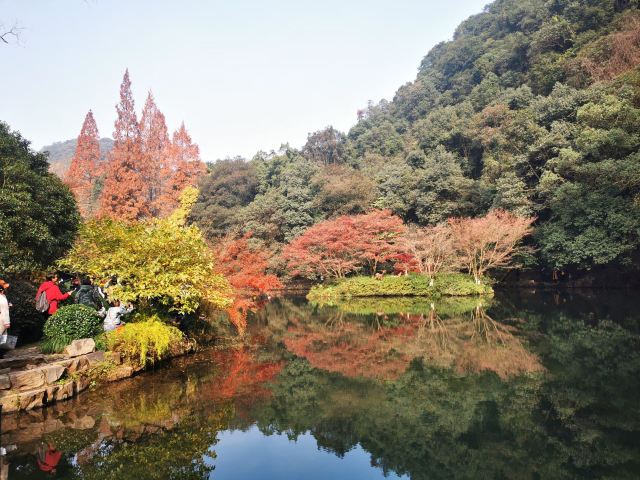 杭州周边赏秋好去处,杭州赏秋最佳攻略