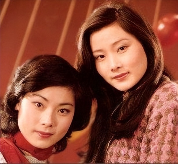 李冰冰姐妹花在娱乐圈打拼靠什么,十对明星姐妹