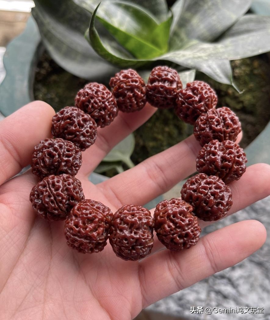 金刚菩提刷下来的是什么东西,金刚菩提机刷和手工刷怎样区别