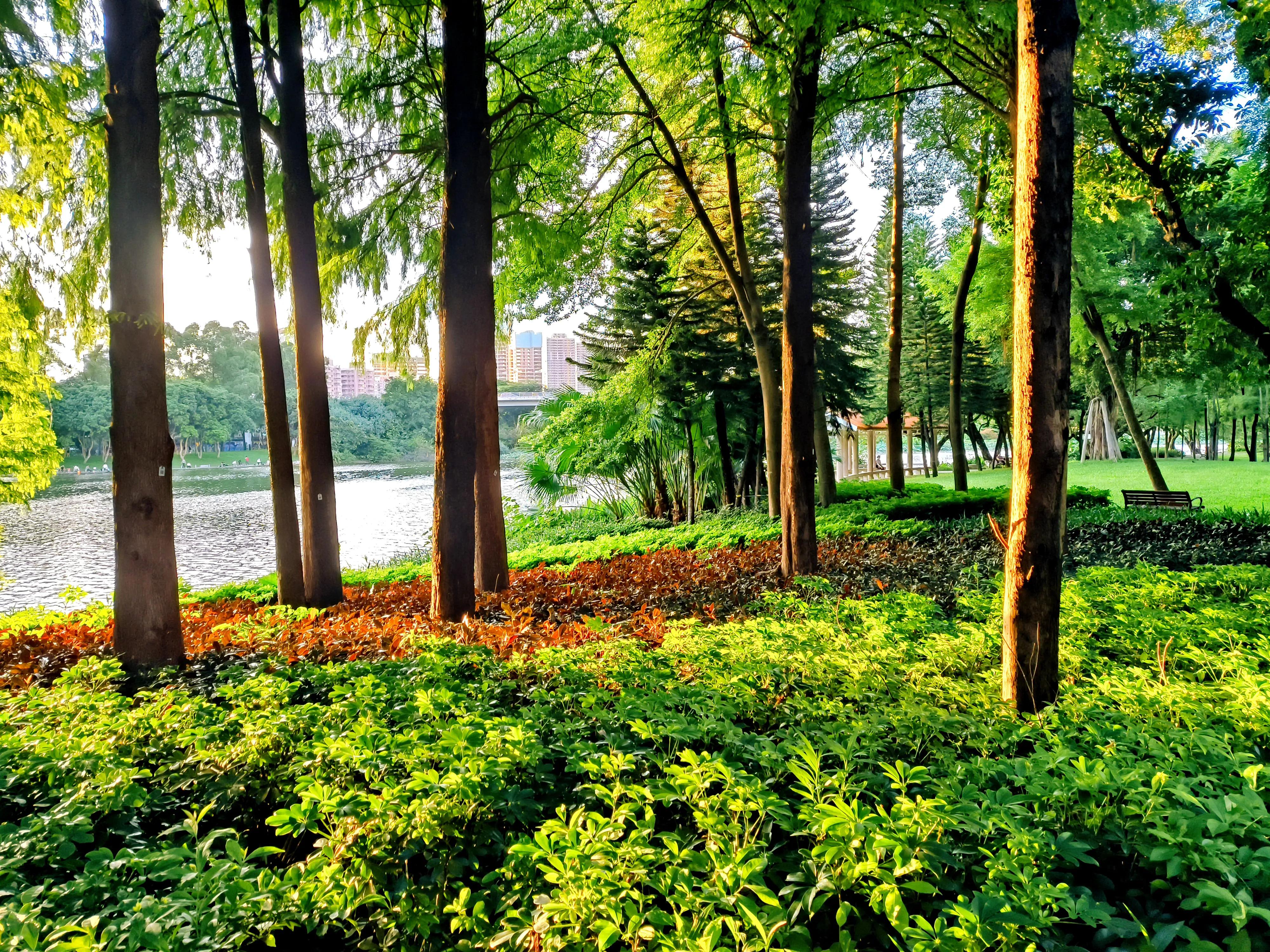 红米k50pro拍照参数,红米k50pro拍照样张