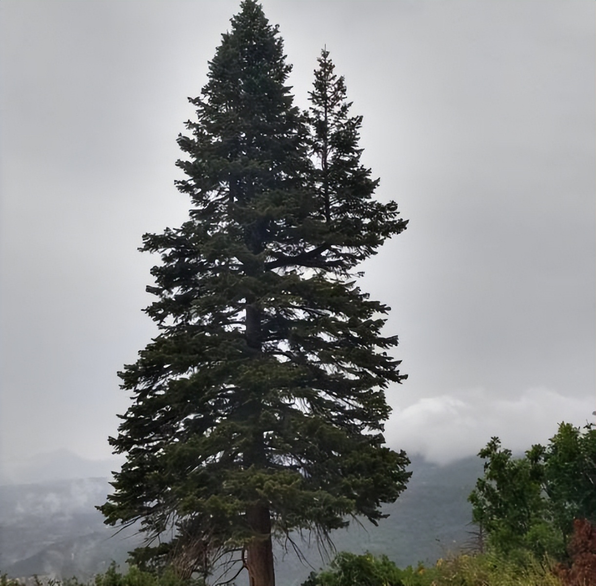 美丽的大自然的作文,美丽的大自然现代诗