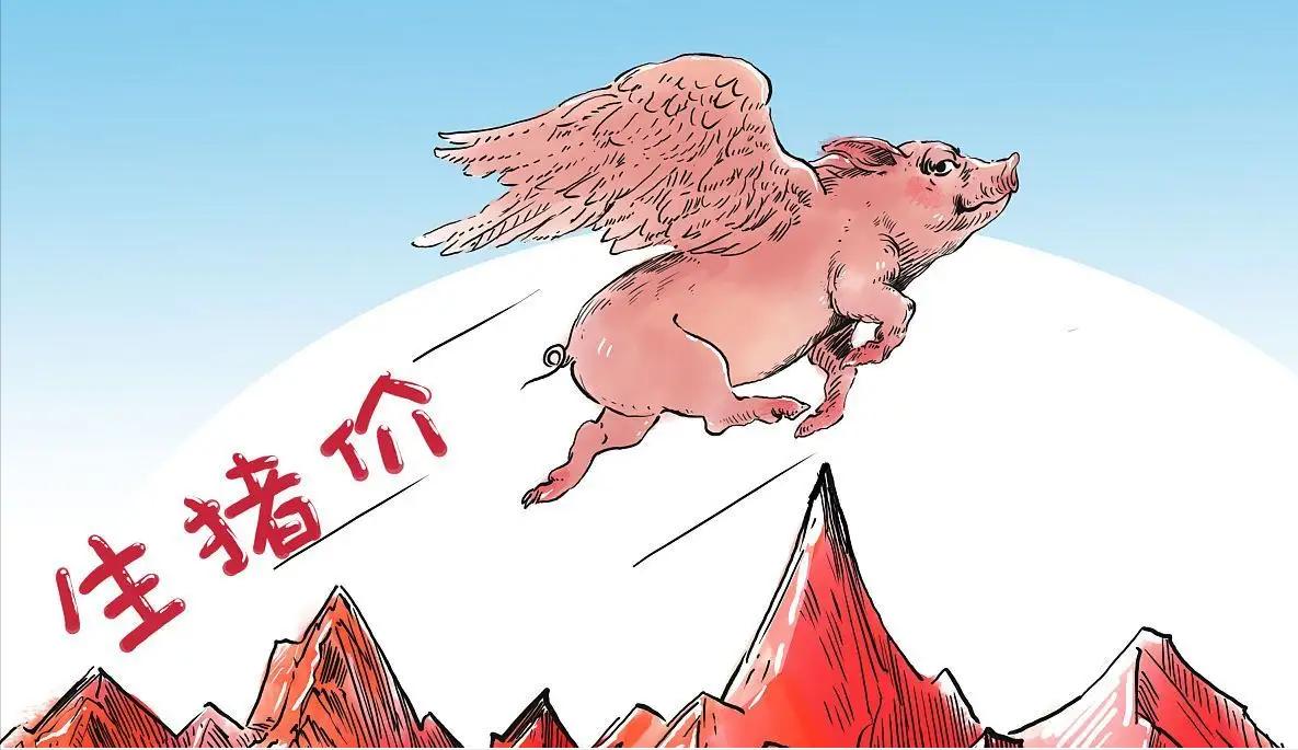 京基恶意并购康达尔在哪一年,京基集团借壳康达尔