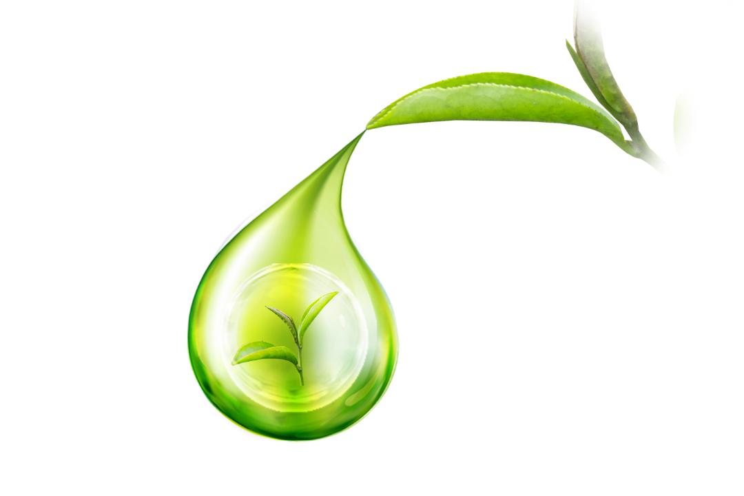 怎么选茶叶才是好茶,知茶泡茶品茶